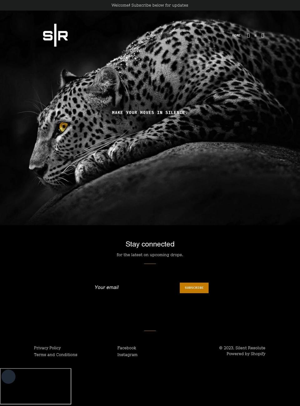 silentresolute.com shopify website screenshot