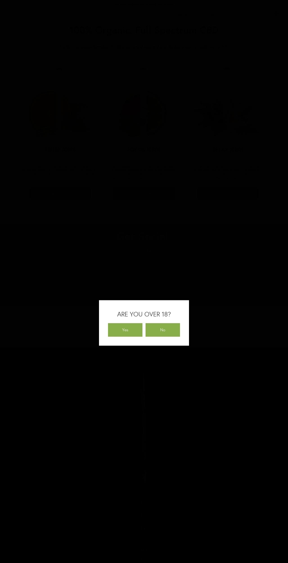 silkroadbrand.com — Shopify storefront screenshot