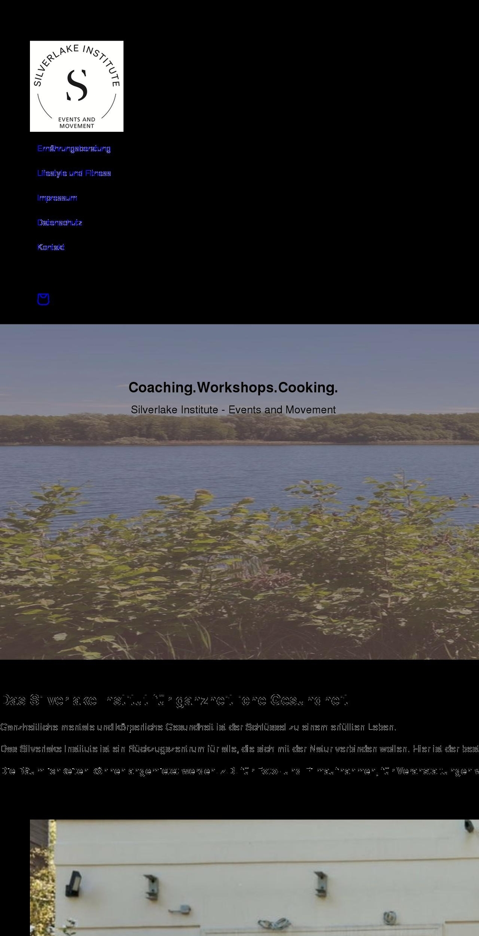 silverlake-institute.com shopify website screenshot