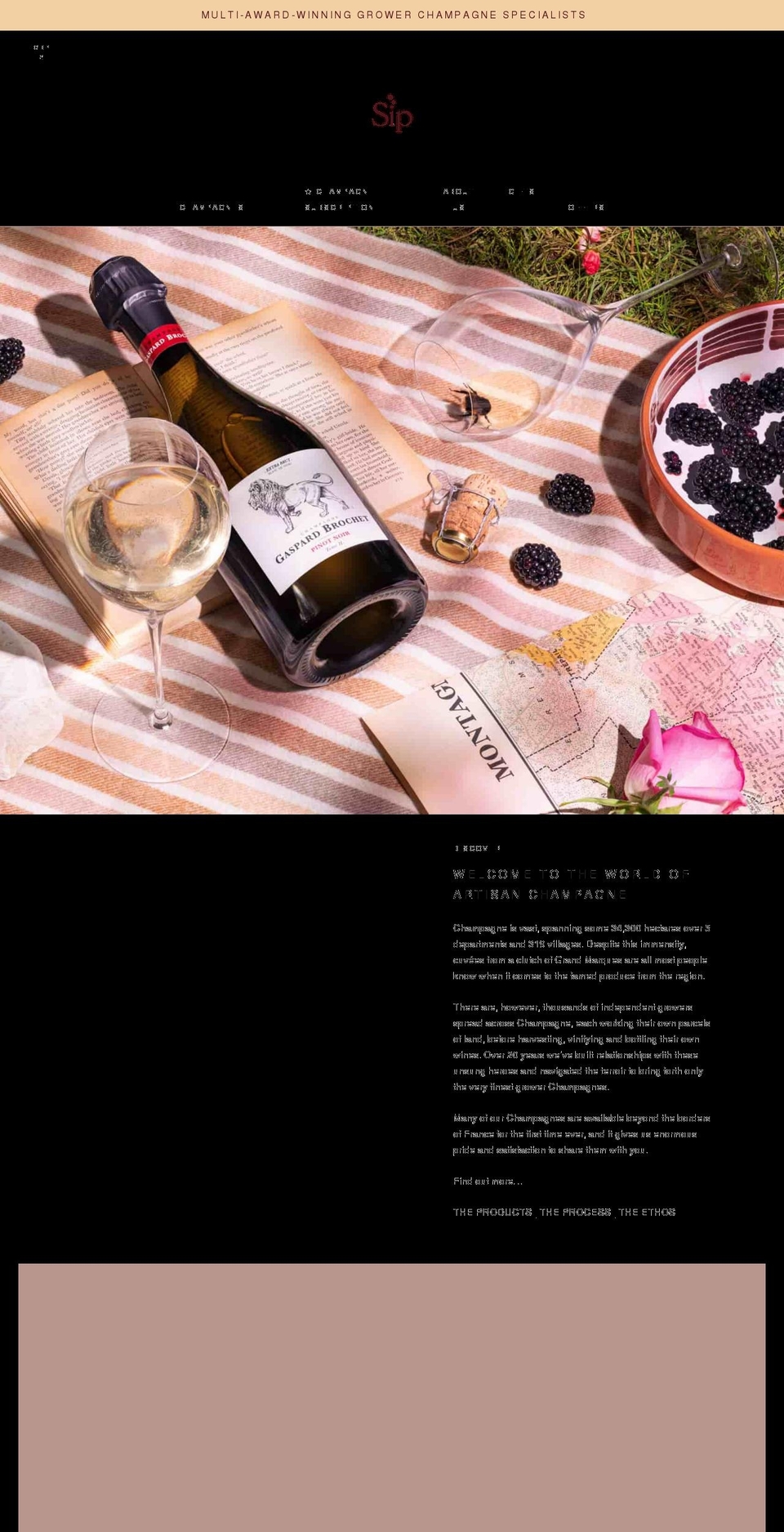 sipchampagnes.com shopify website screenshot