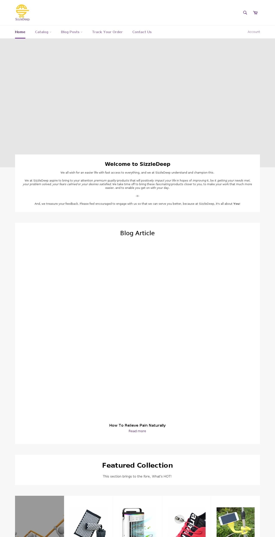 sizzledeep.com shopify website screenshot