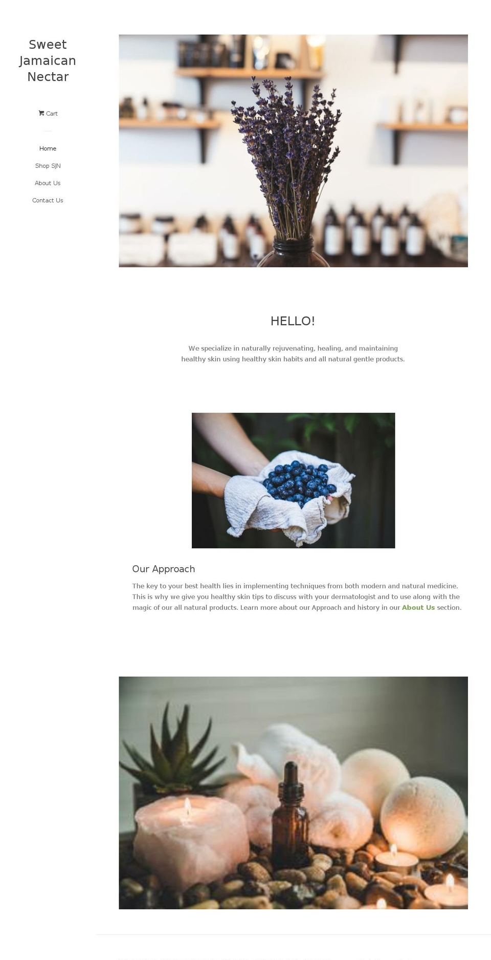 sjnectar.com shopify website screenshot
