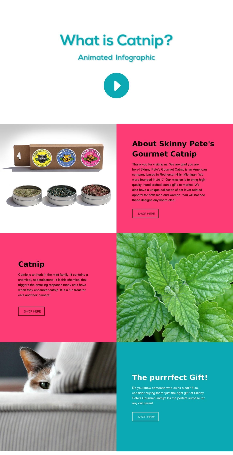 skinnypetescatnip.com shopify website screenshot