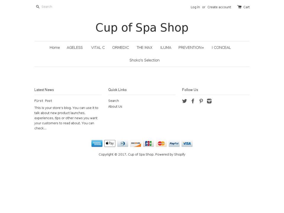 skintheorymall.com shopify website screenshot