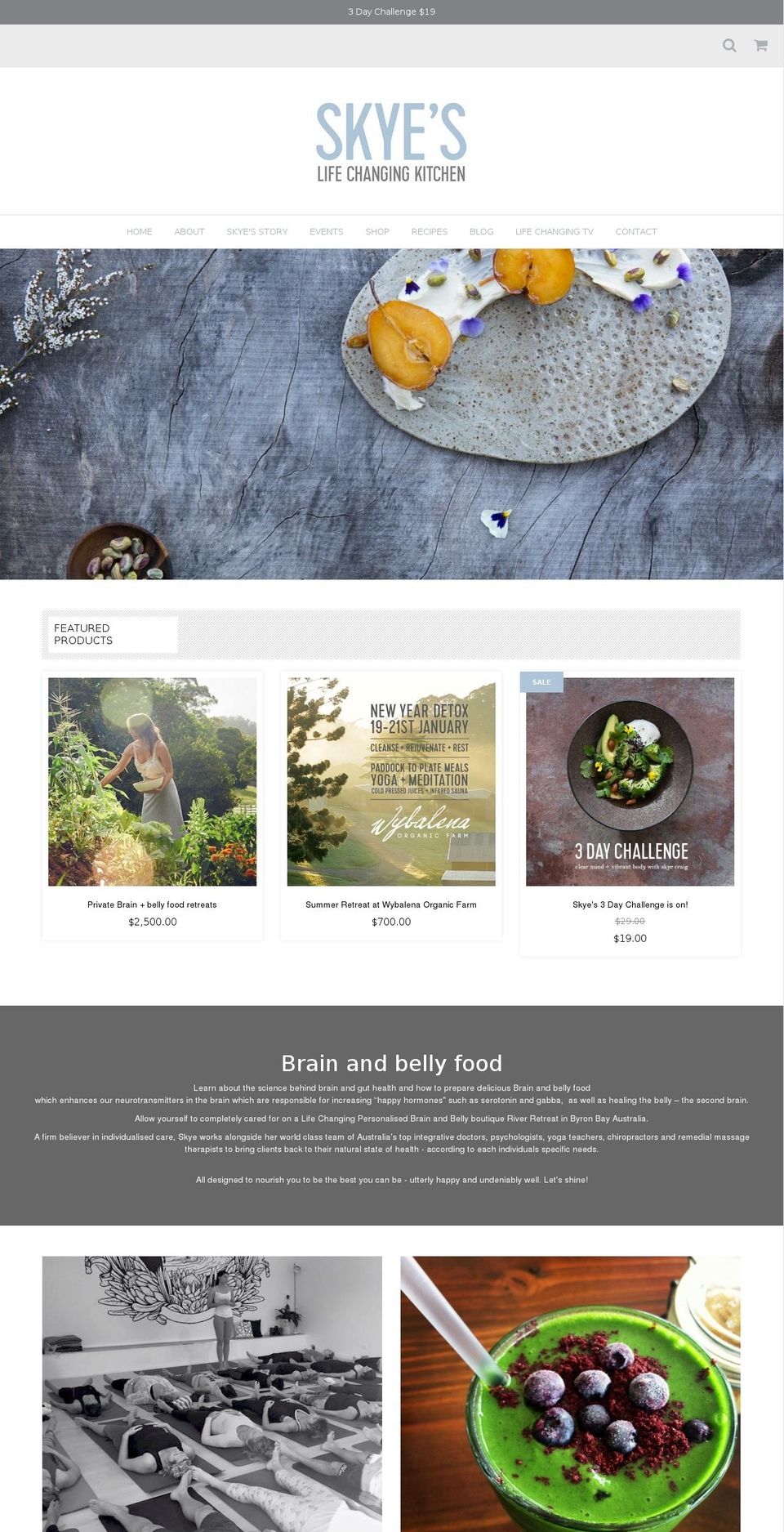 skyslifechangingkitchen.com — Shopify storefront screenshot