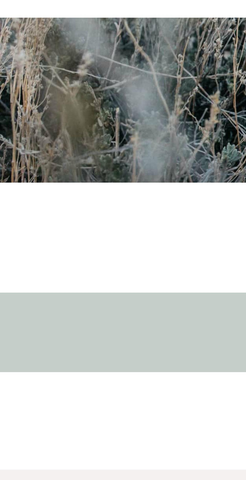 skywyatthemp.com — Shopify storefront screenshot