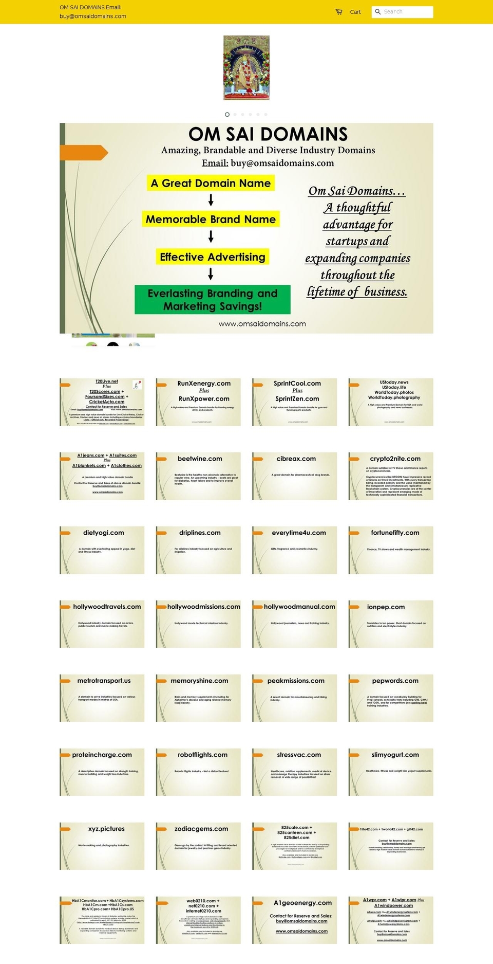 slaithaxone.info shopify website screenshot