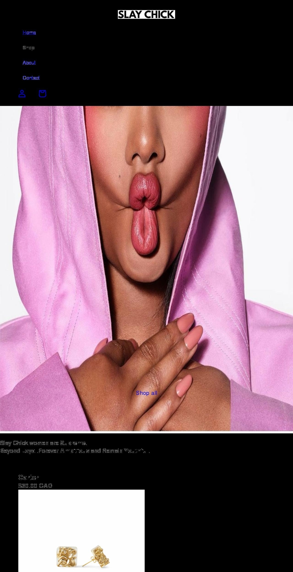 slaychick.com shopify website screenshot