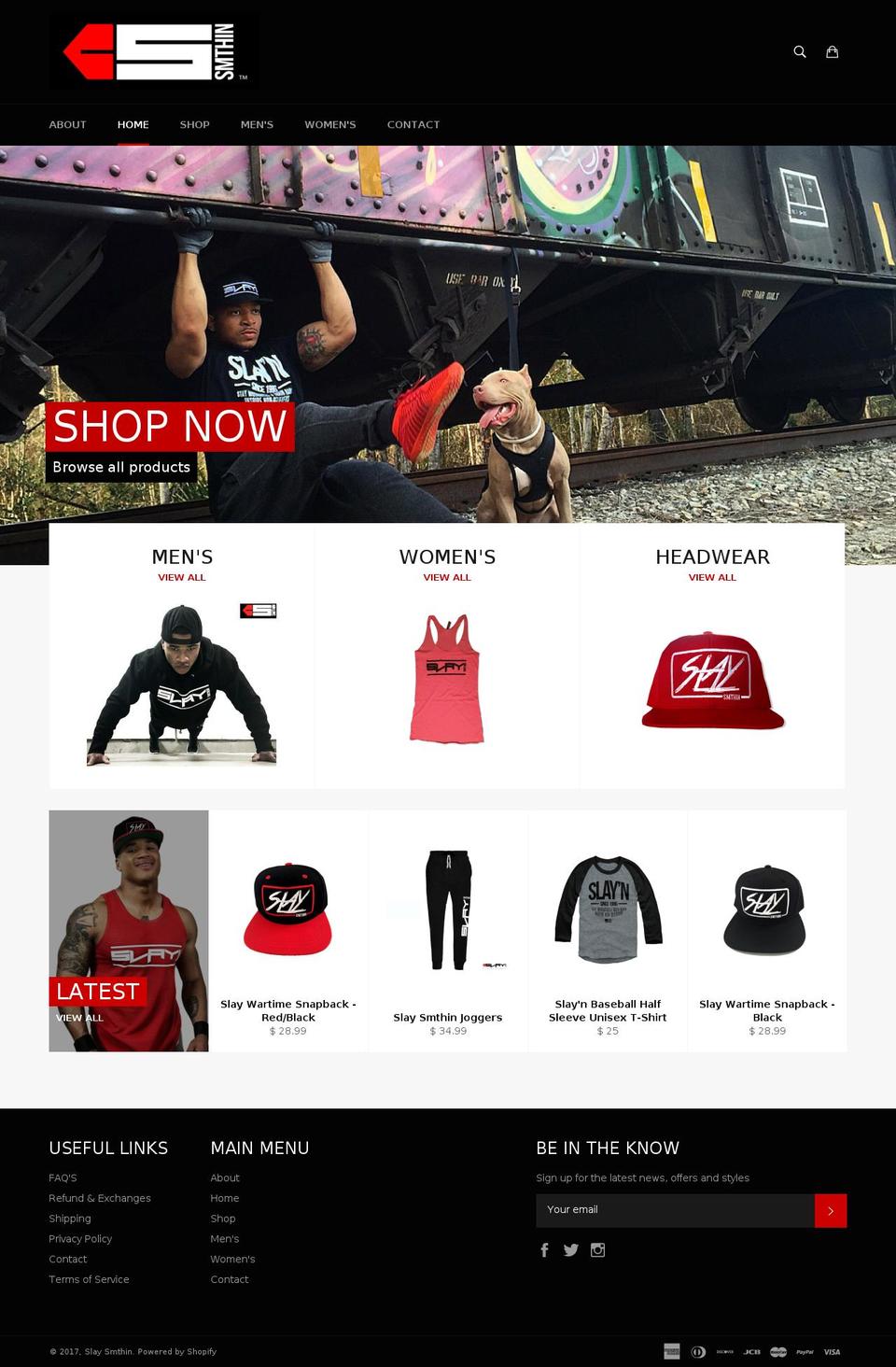 slaysmthin.com shopify website screenshot