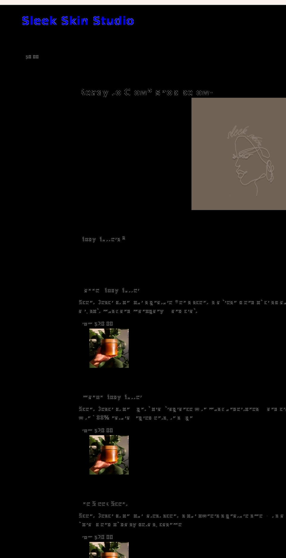 sleekskinstudio.com shopify website screenshot