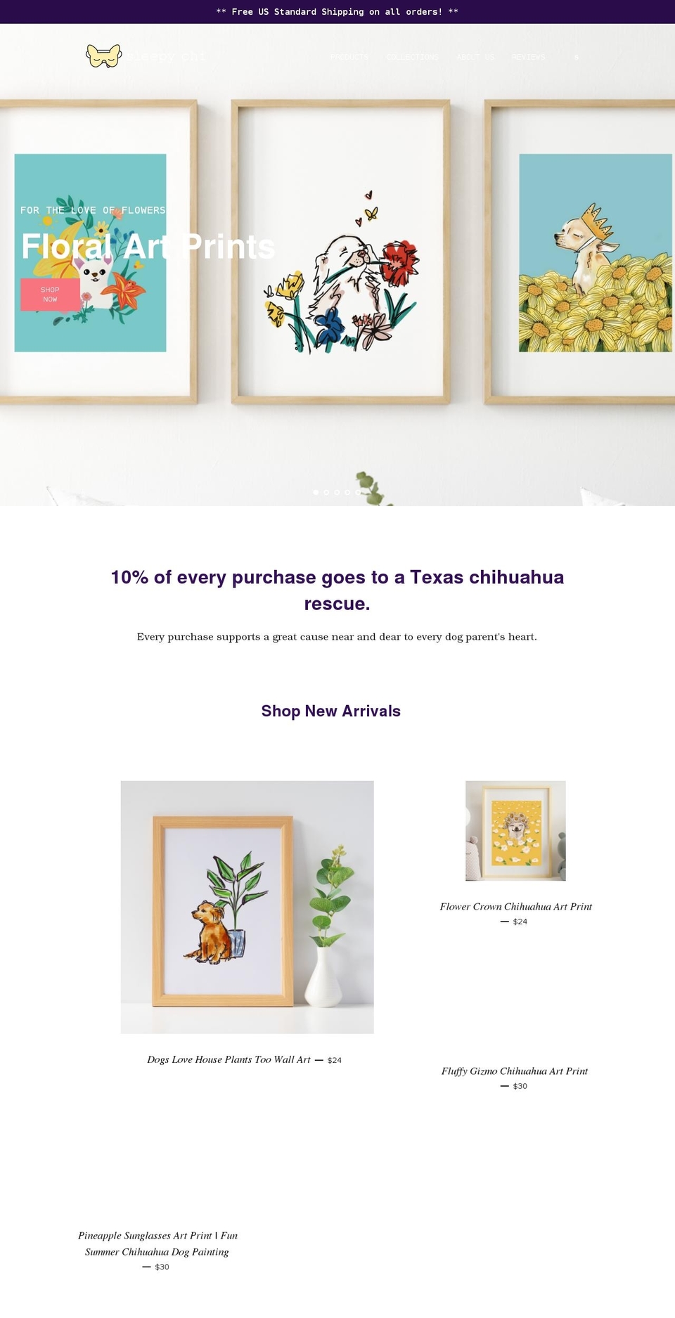 sleepychi.com shopify website screenshot