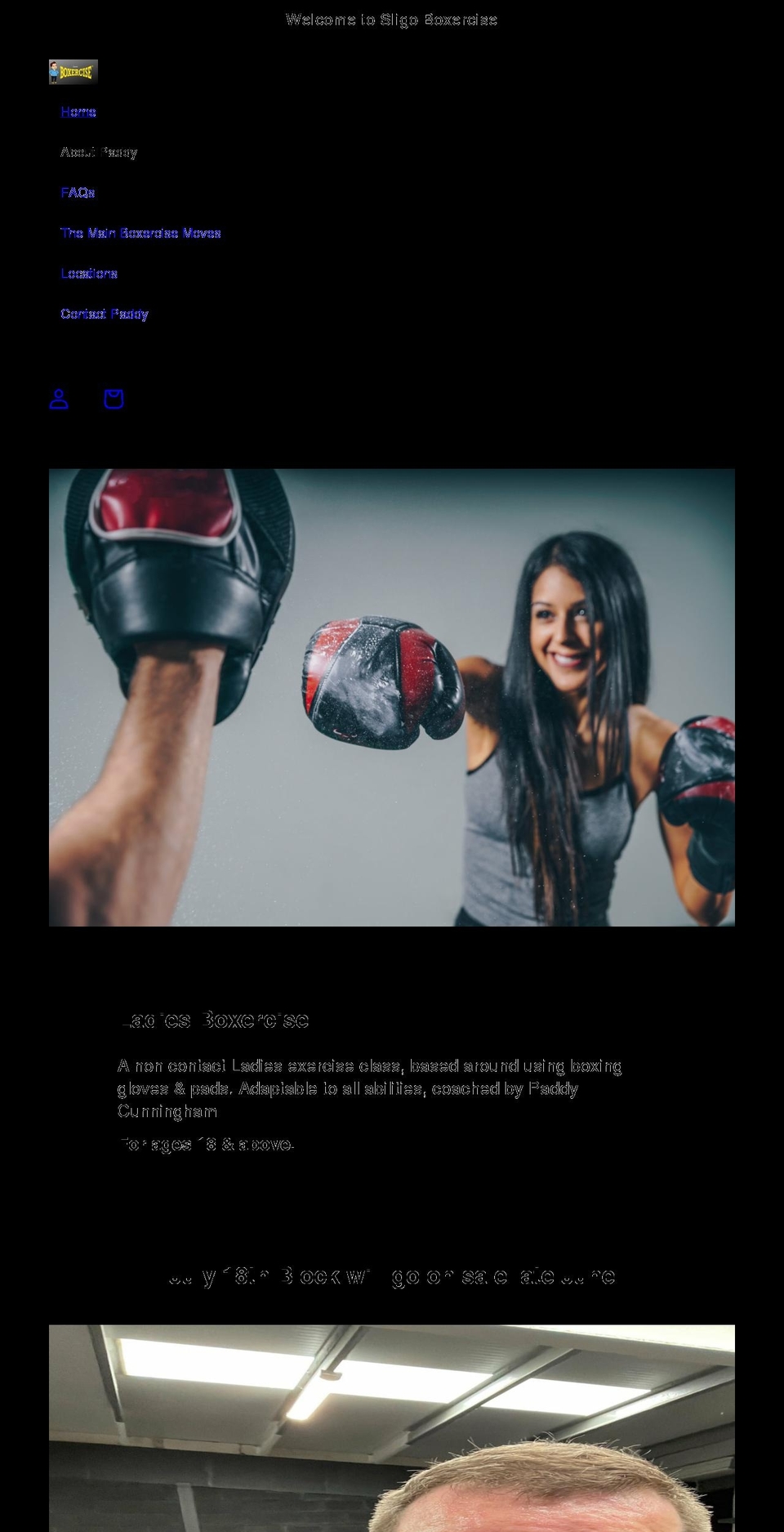 sligoboxercise.com shopify website screenshot