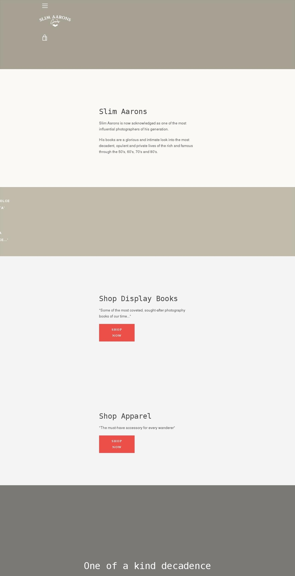 slimaaronsgoods.com shopify website screenshot