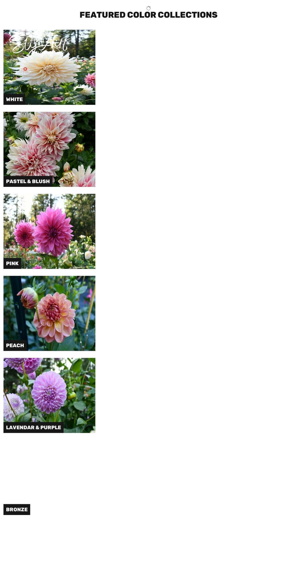 slyhillflowers.com shopify website screenshot