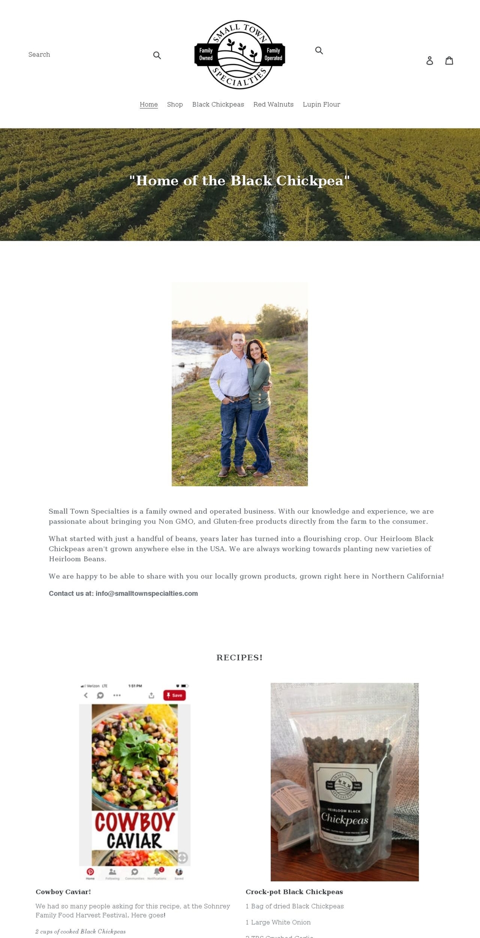 smalltownspecialties.com shopify website screenshot