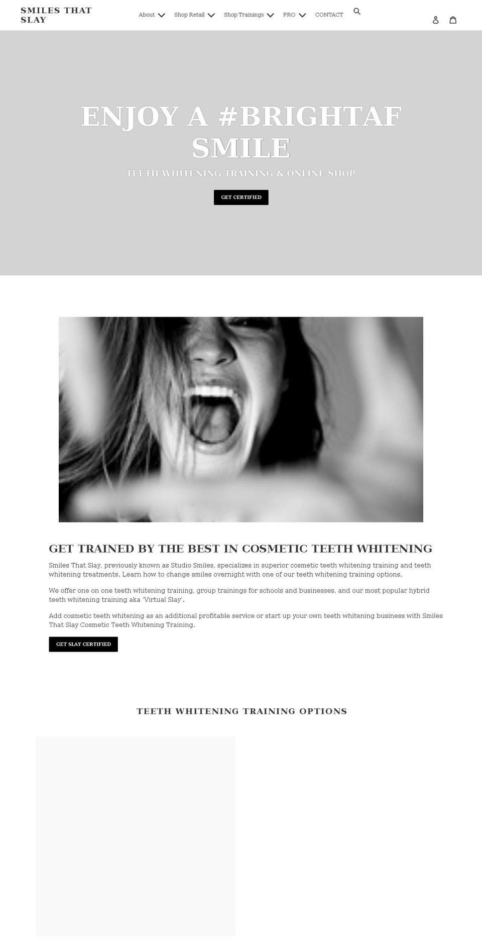 smilesthatslay.com shopify website screenshot