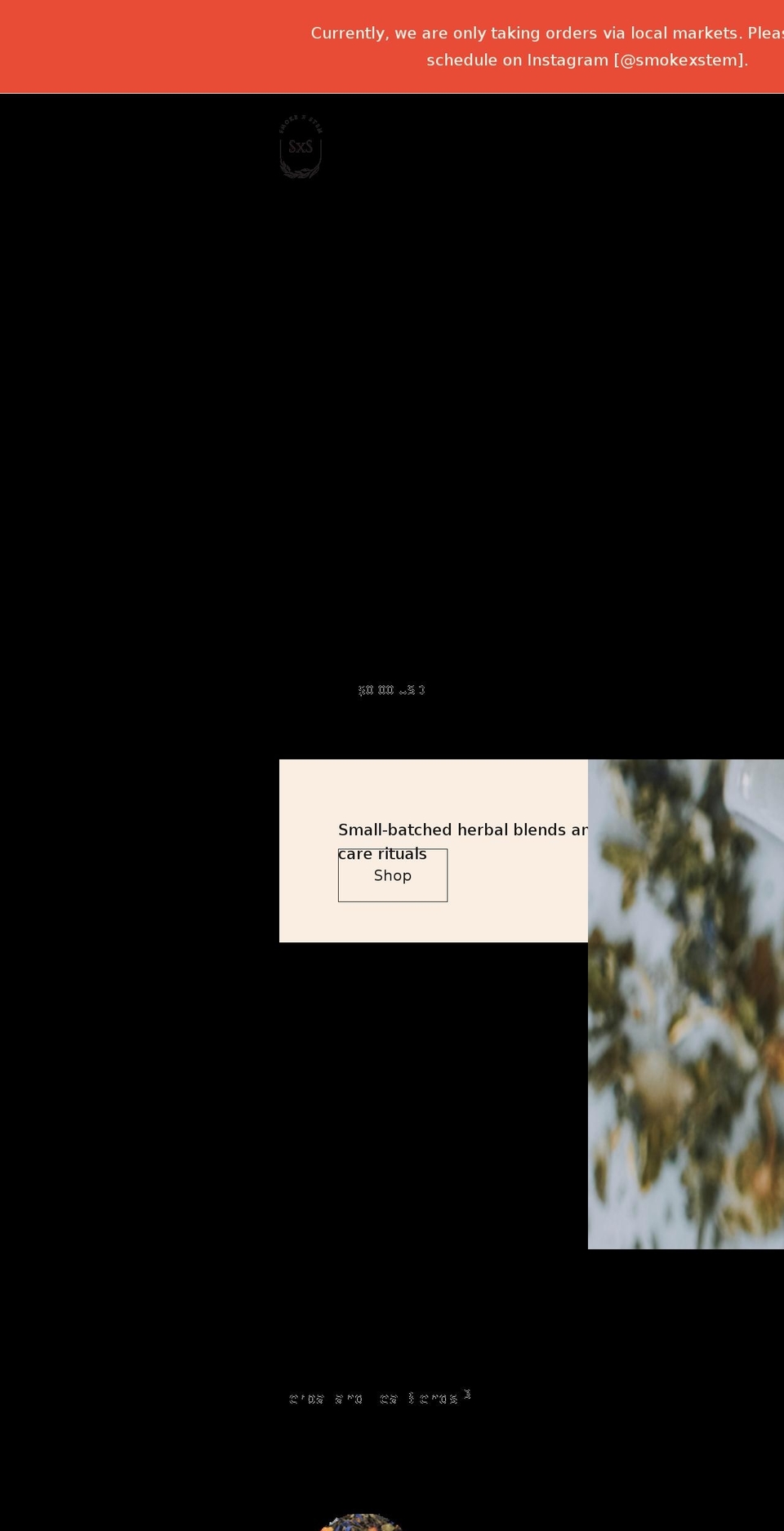 smokexstem.com shopify website screenshot