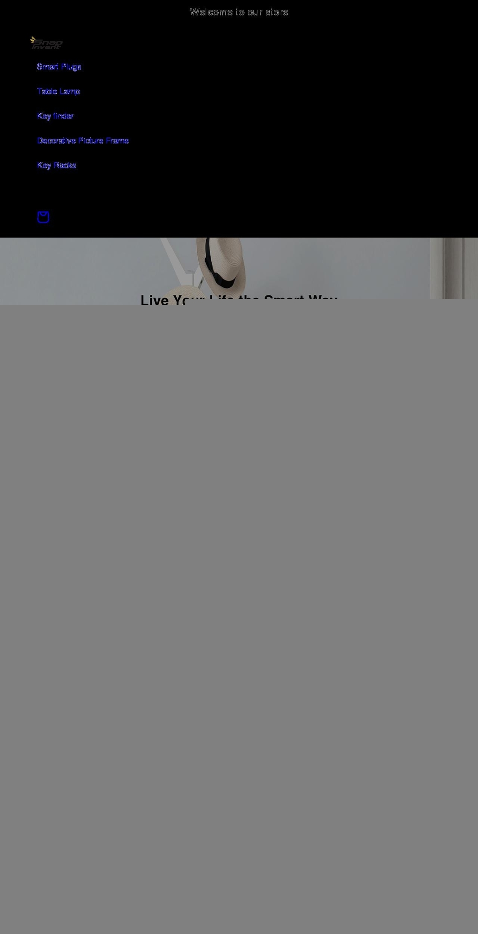 snapinvent.com shopify website screenshot