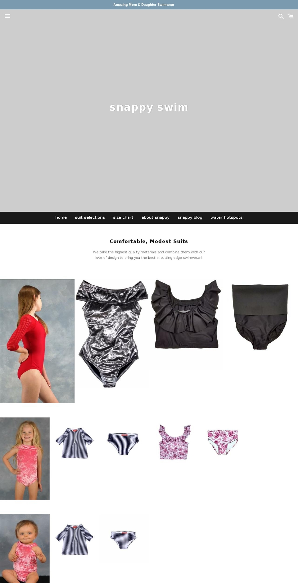 snappyllc.com — Shopify storefront screenshot