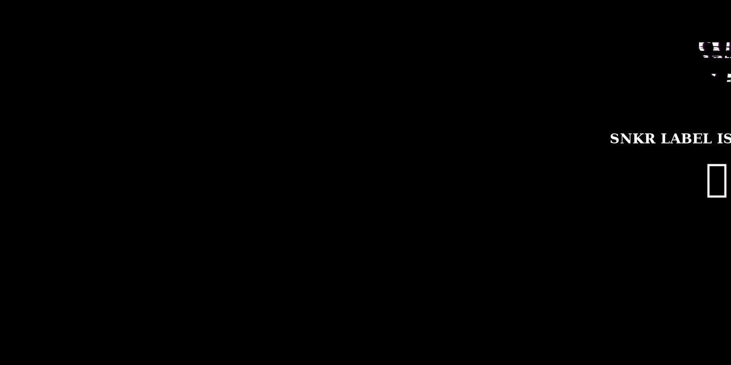 snkrlabel.com shopify website screenshot