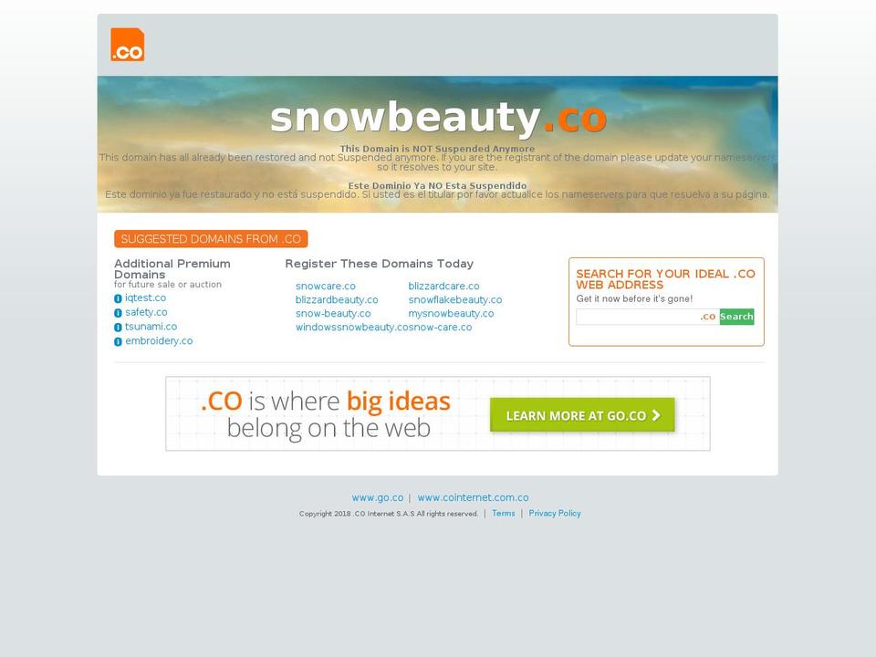 snowbeauty.co shopify website screenshot