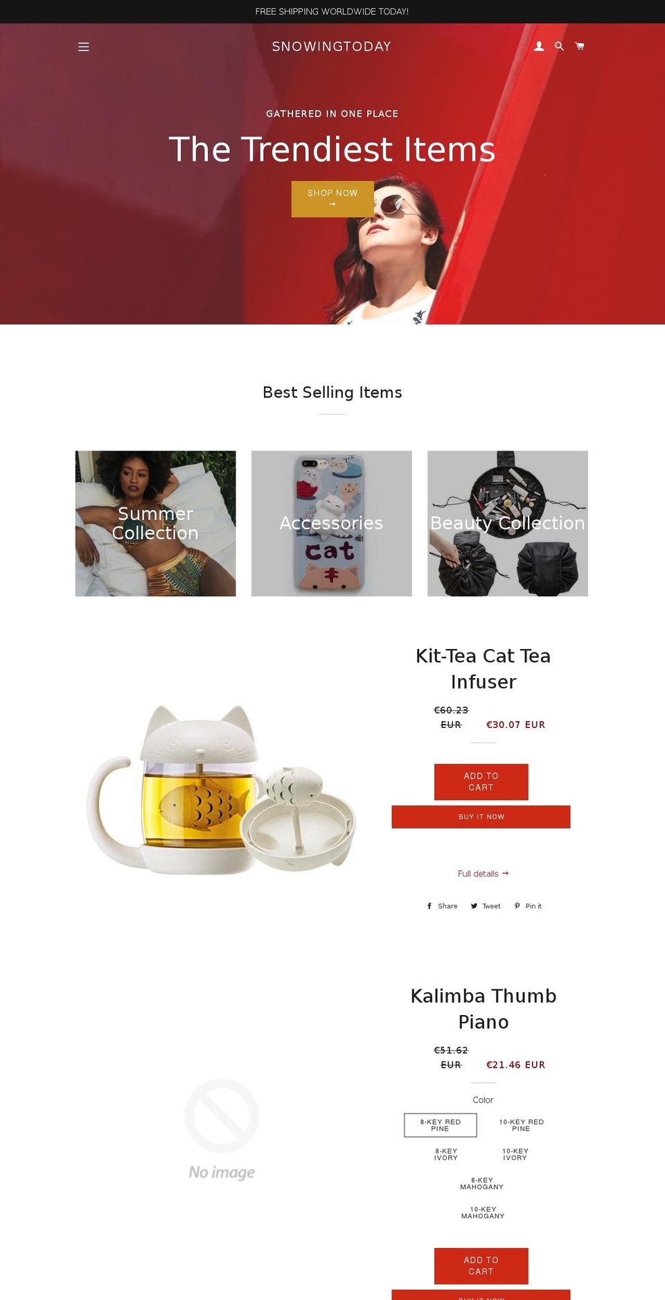 snowingtoday.com — Shopify storefront screenshot