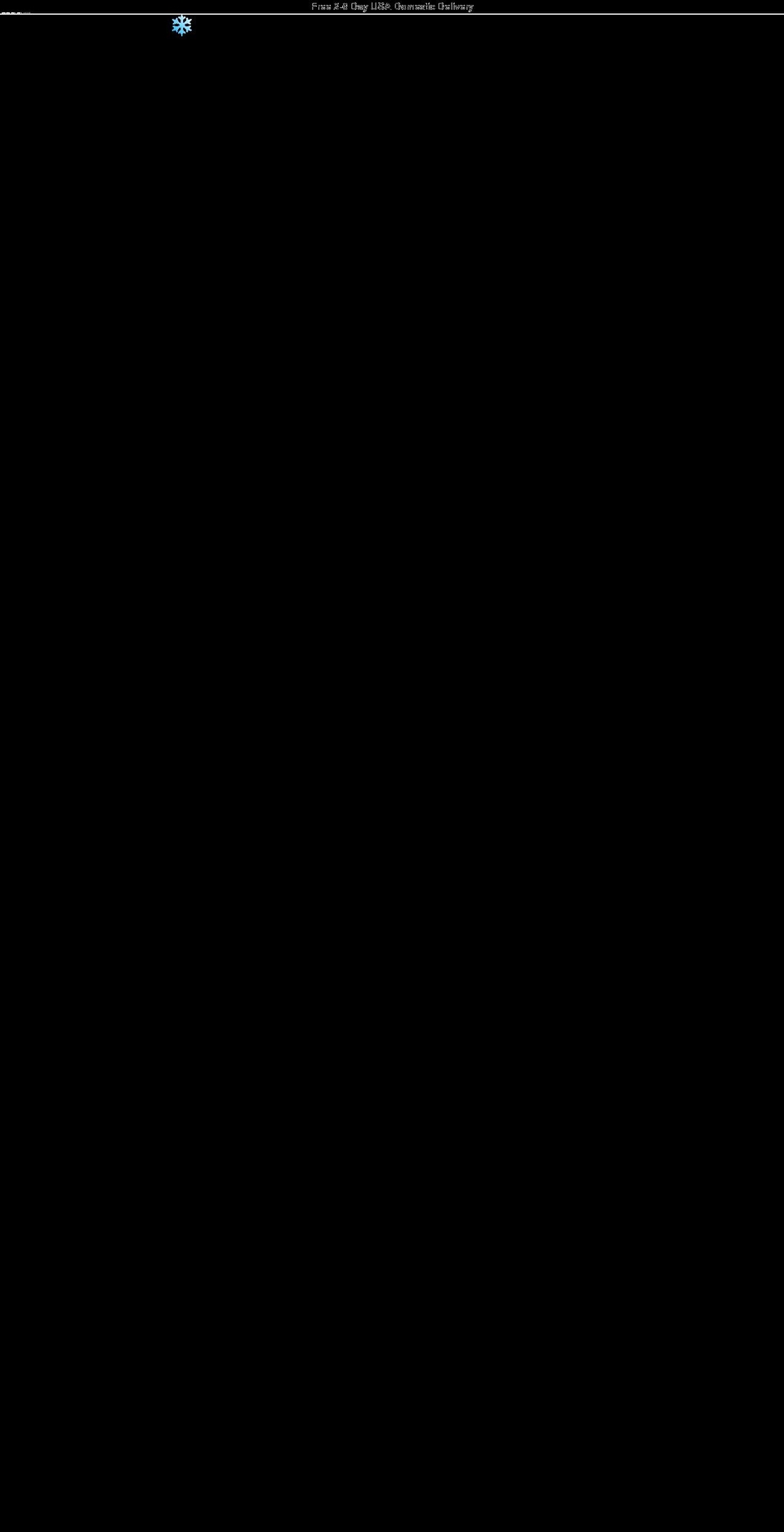 snowskinco.com shopify website screenshot