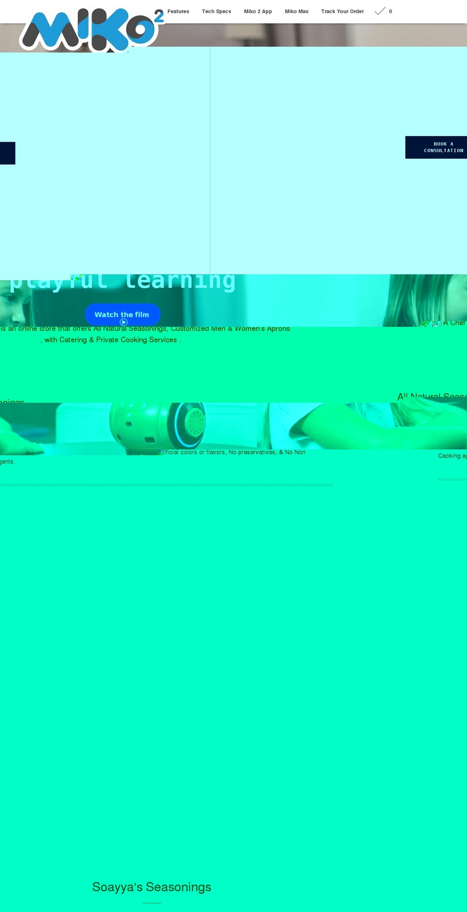 soayyasnotachef.com shopify website screenshot