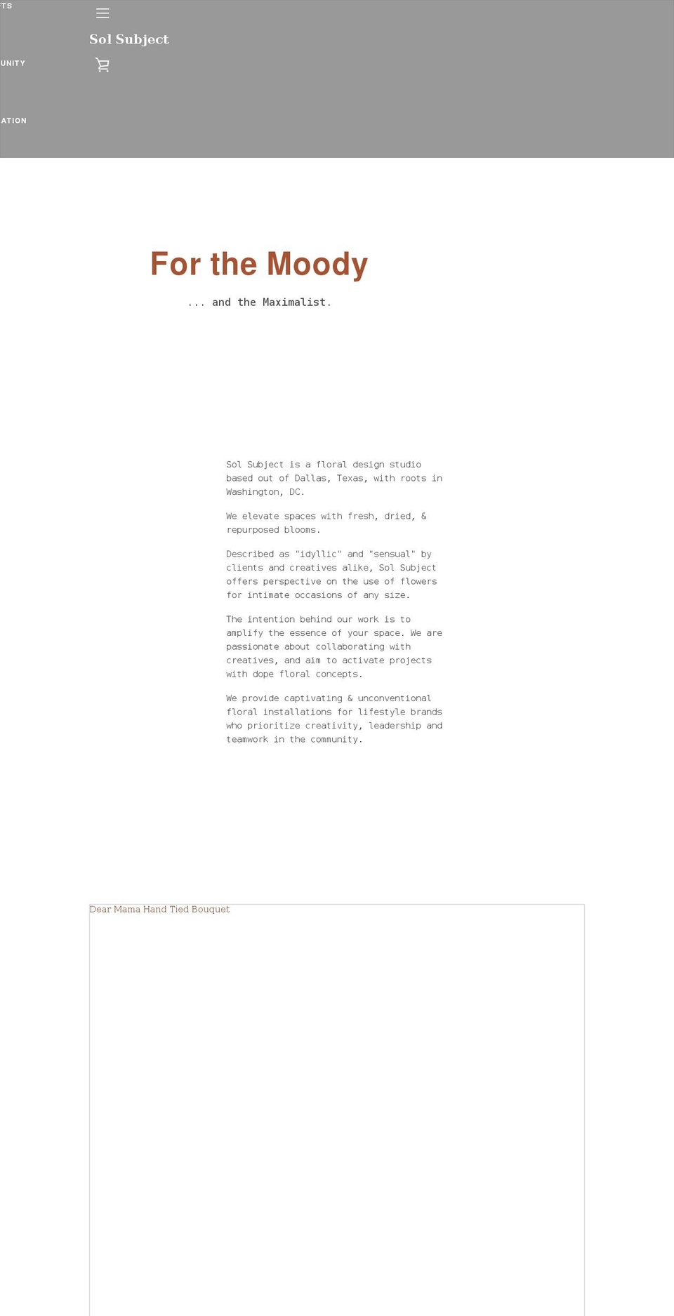 solsubject.com shopify website screenshot