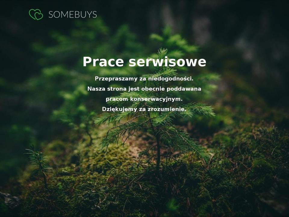 somebuys.com — Shopify storefront screenshot