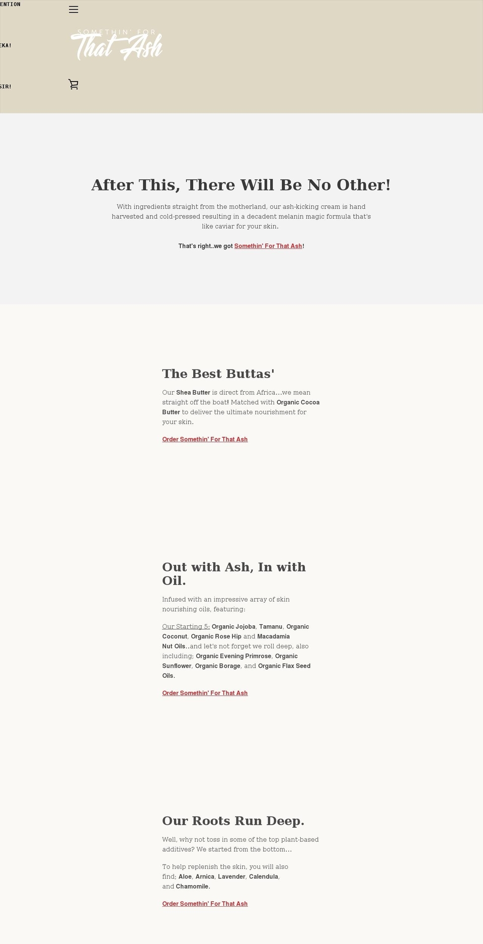 somethinforthatash.com shopify website screenshot