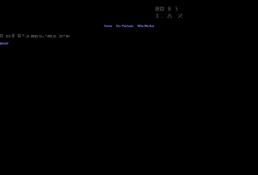 sominidetailz.com shopify website screenshot