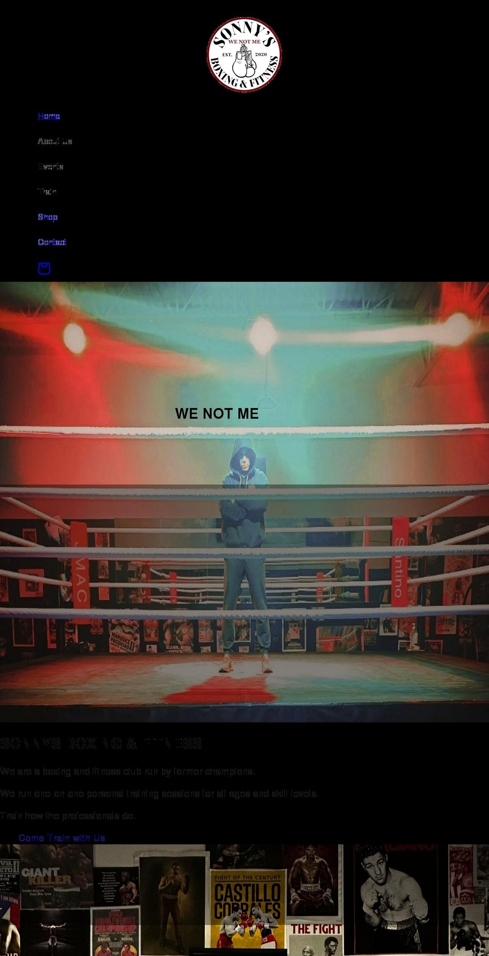 sonnysboxingandfitness.com shopify website screenshot