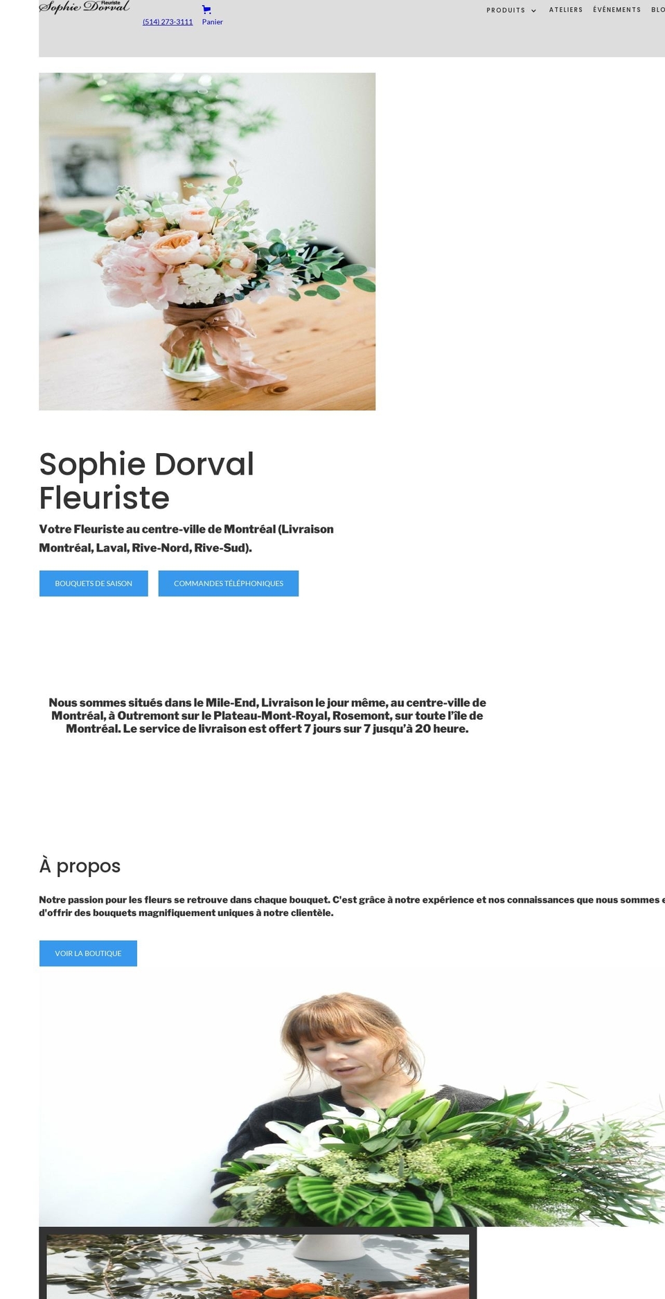 sophiedorval.com shopify website screenshot