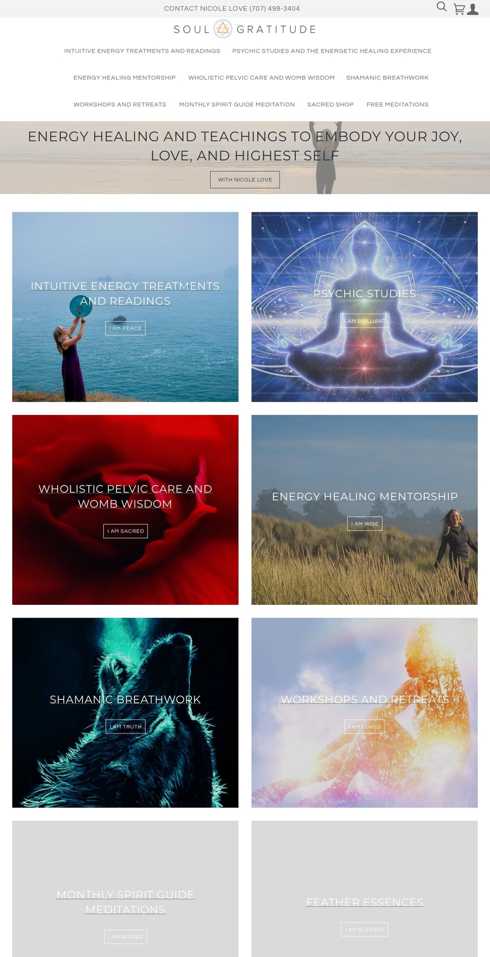 soulgratitude.com shopify website screenshot