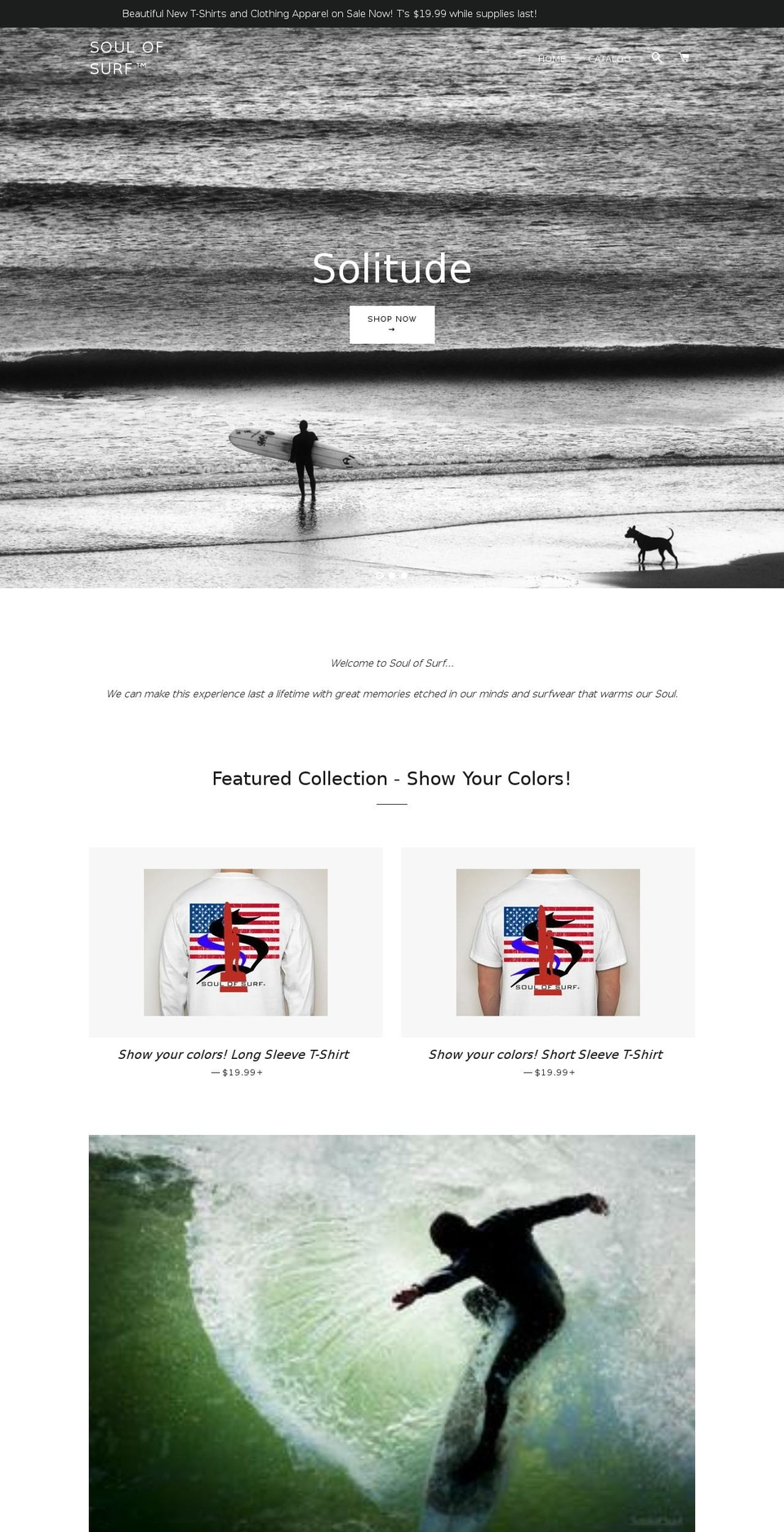 soulofsurf.com — Shopify storefront screenshot