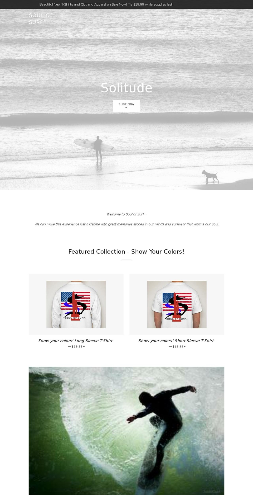 soulofsurf.international shopify website screenshot