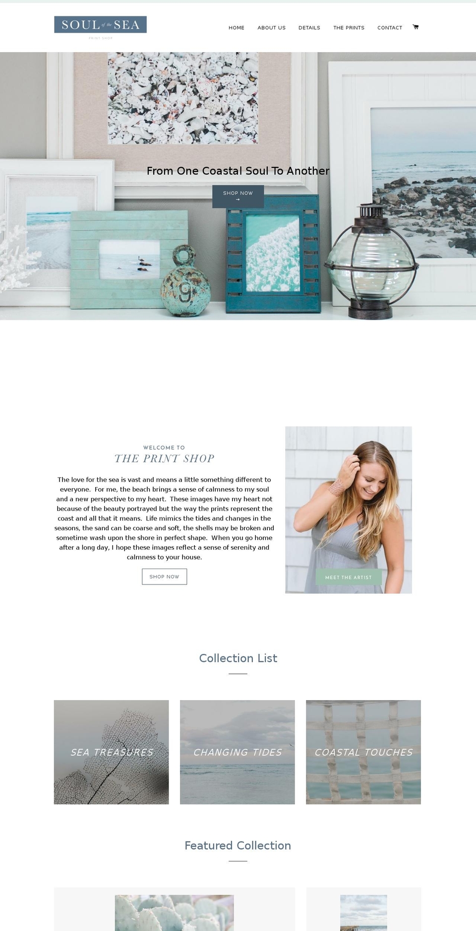 souloftheseaprintshop.com — Shopify storefront screenshot