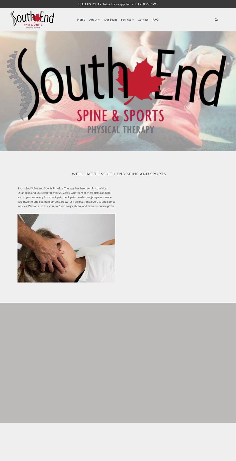 southendspineandsports.com shopify website screenshot