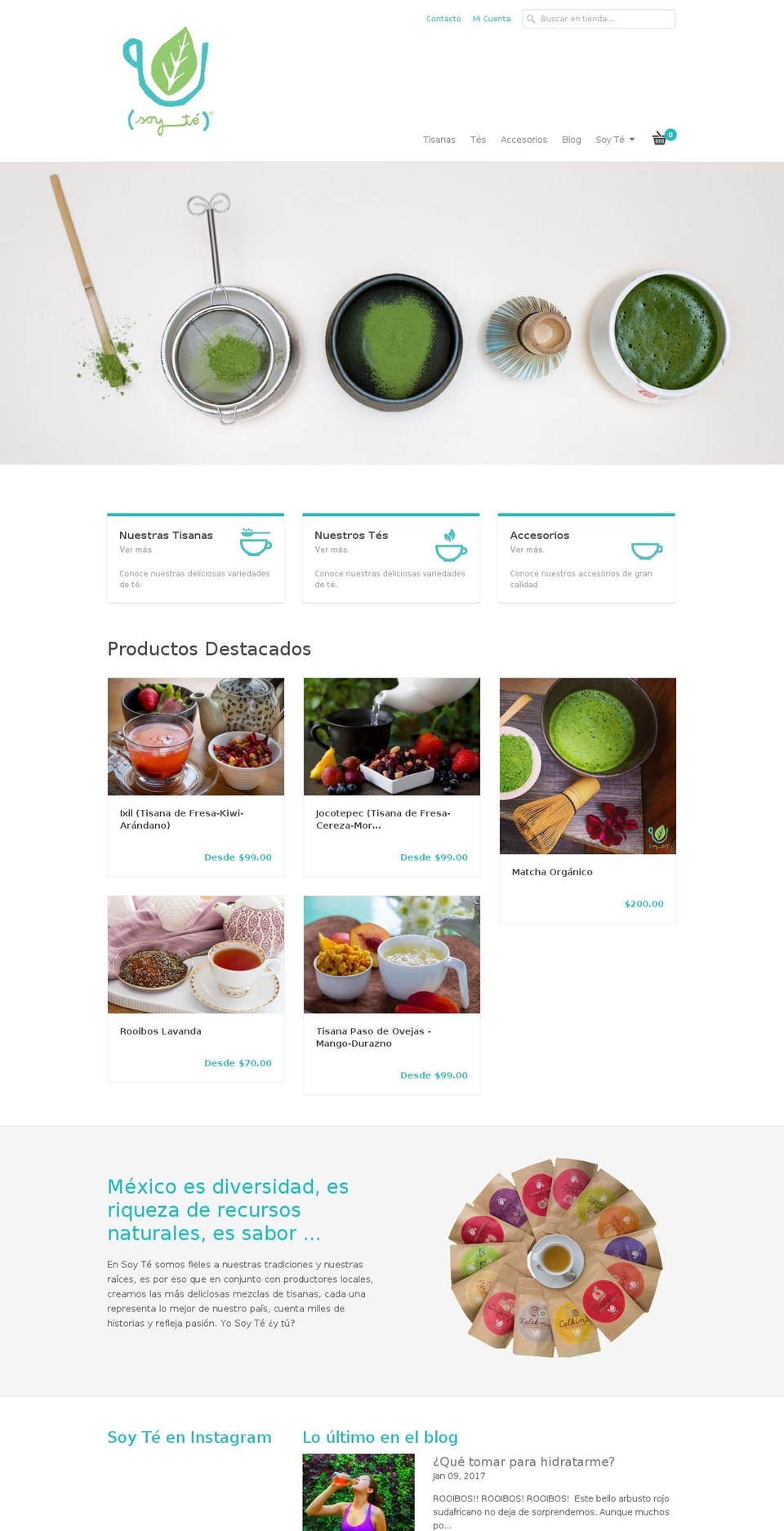 Local Shopify theme site example soyte.mx