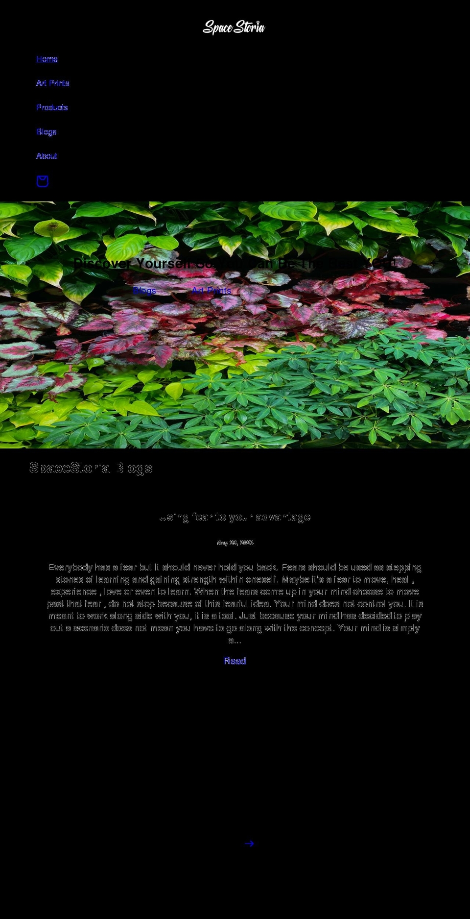 spacestoria.com shopify website screenshot