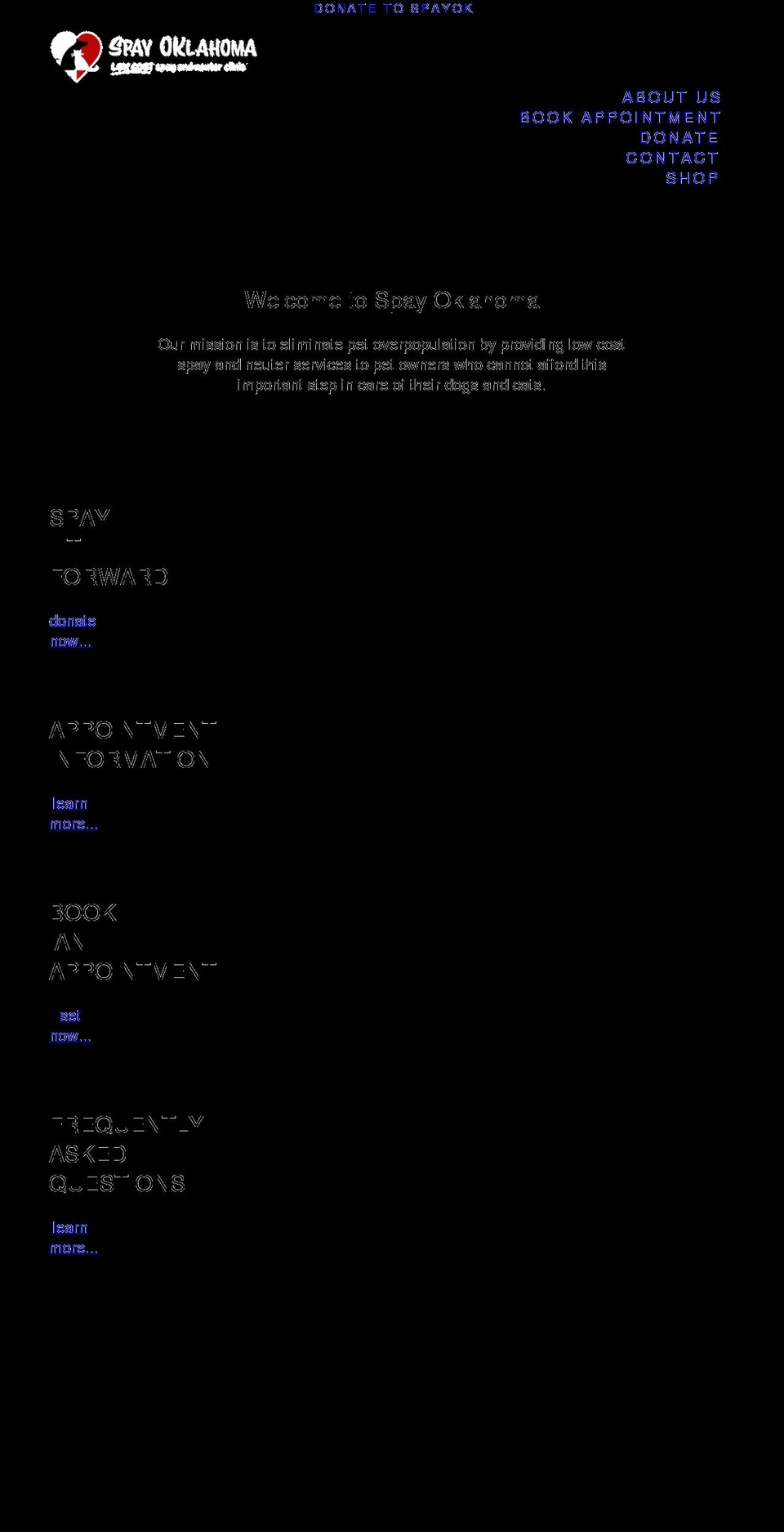 spayok.com shopify website screenshot