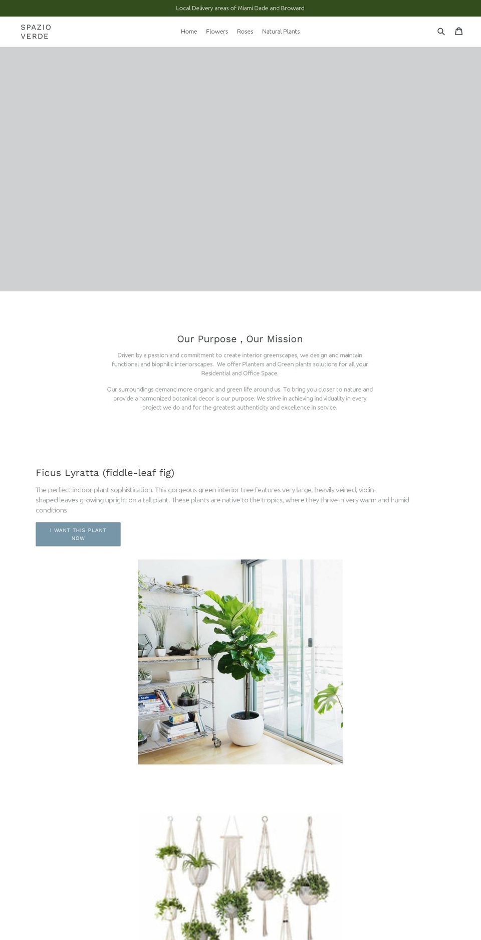 spazioverde.miami shopify website screenshot