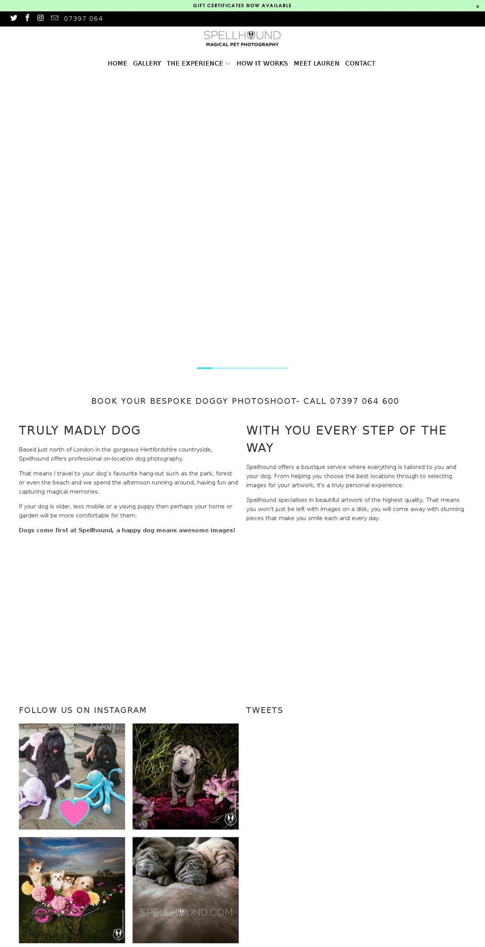 Copy of COPY FOR ARTWORK TO PUBLI-February-- Shopify theme site example spellhound.com