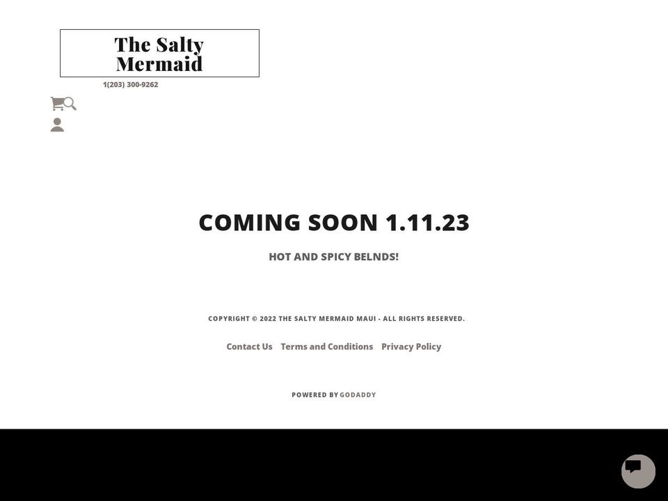 spicymermaid.com — Shopify storefront screenshot