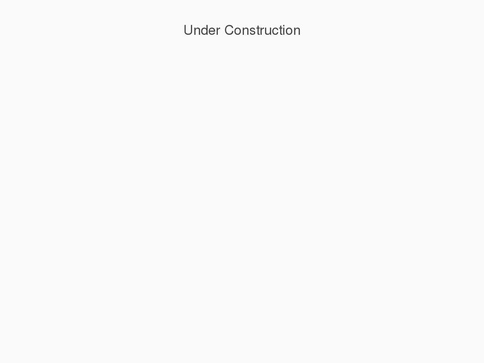spirit-of-drini-usa.com — Shopify storefront screenshot