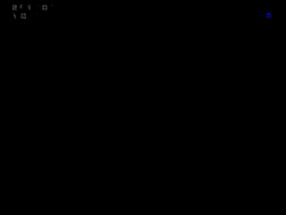 spiritofnightshop.net shopify website screenshot