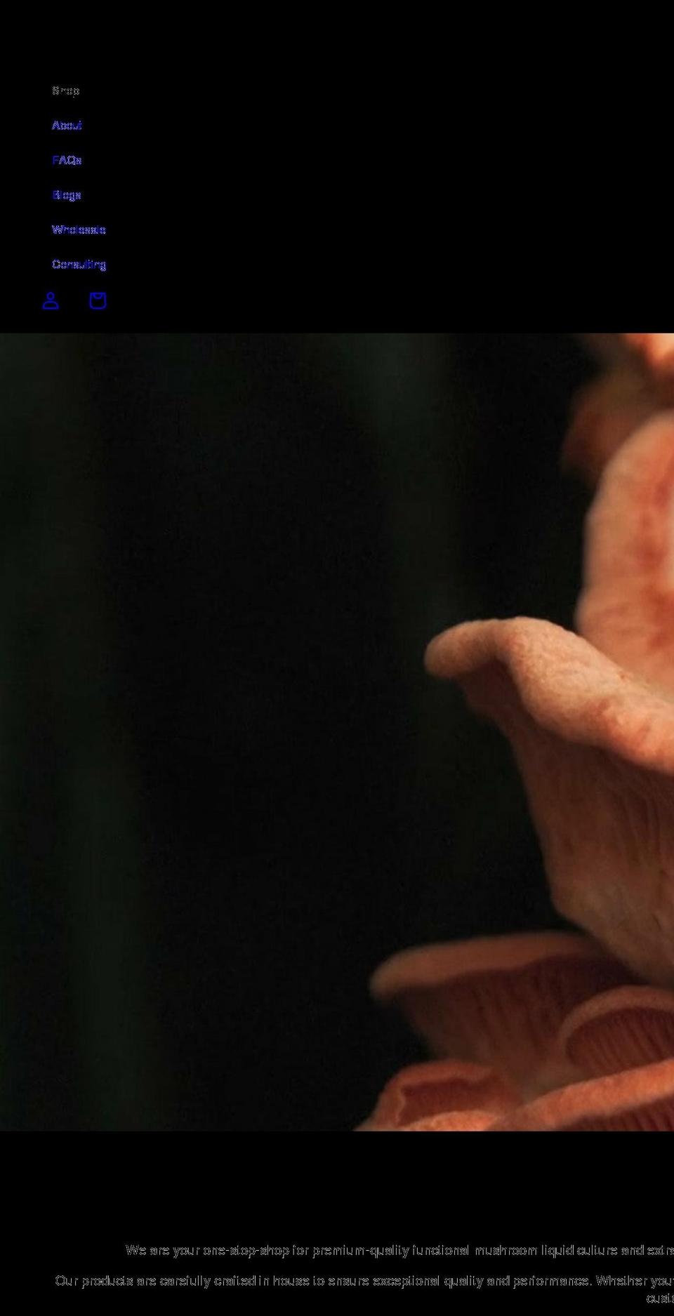 sporelight.com shopify website screenshot