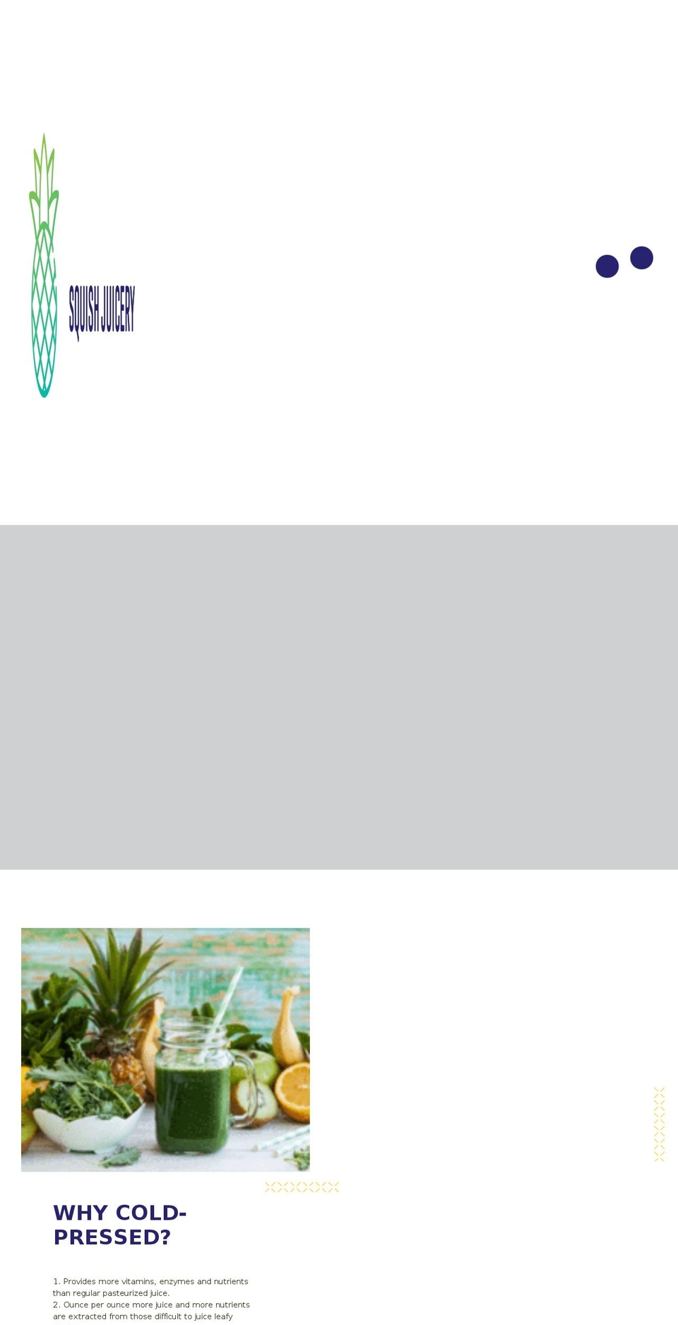 squishjuicery.com — Shopify storefront screenshot
