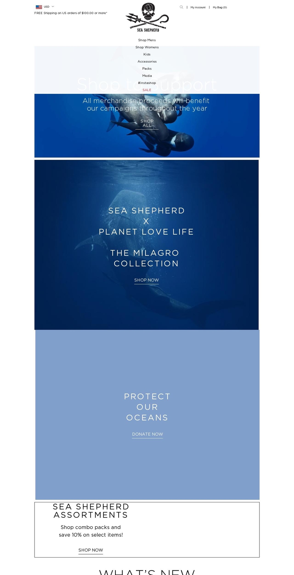 ssestore.org shopify website screenshot